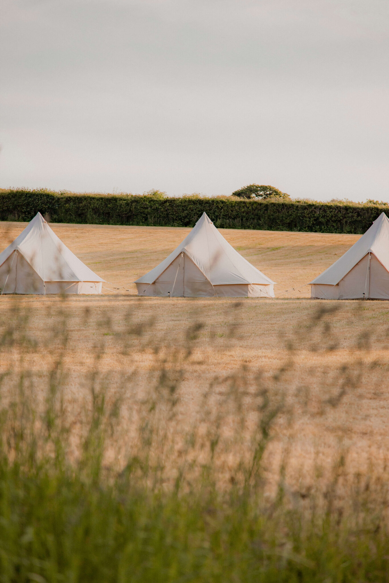 Luxury Bell Tents set up at Devon Wedding