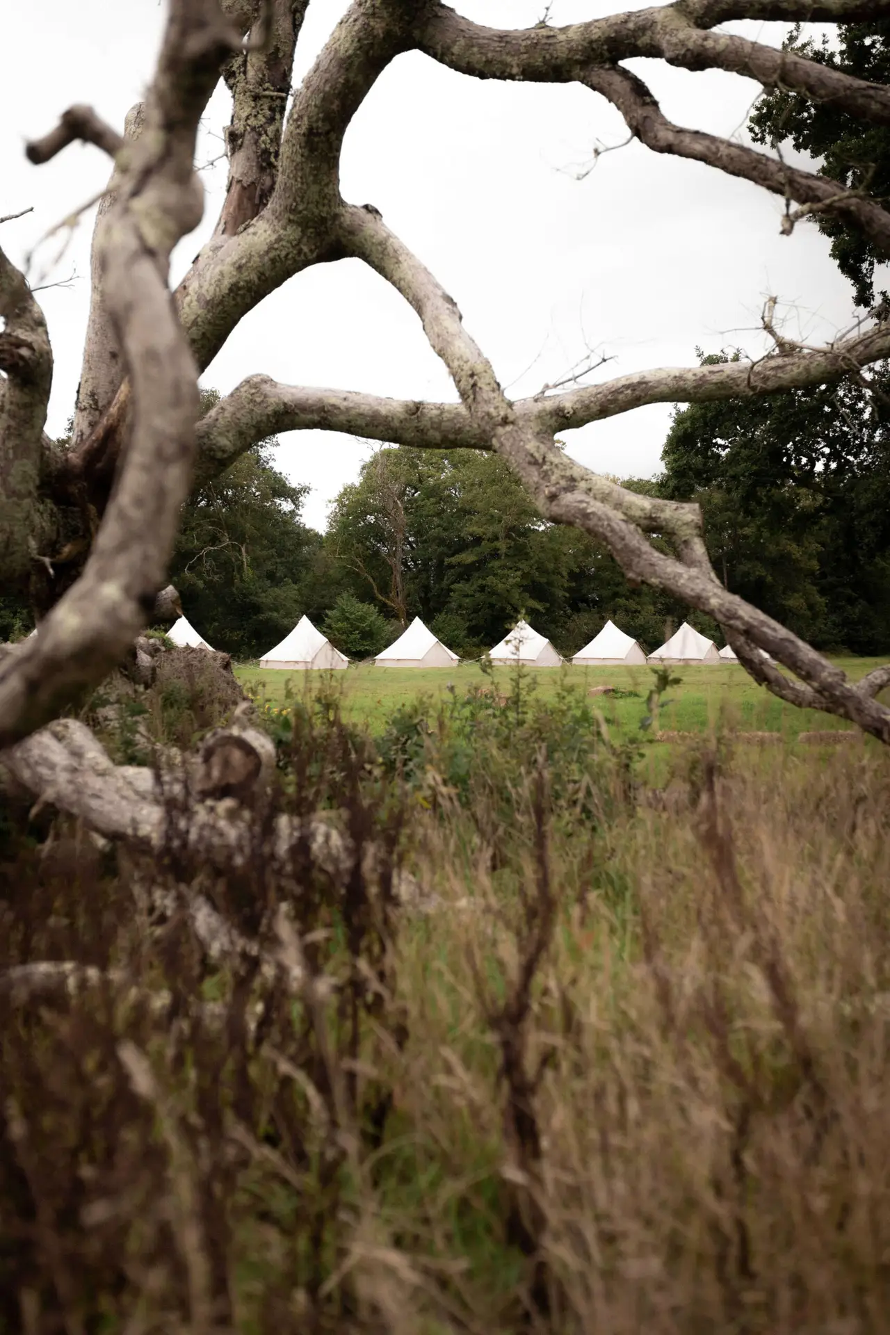 Bell tent festival