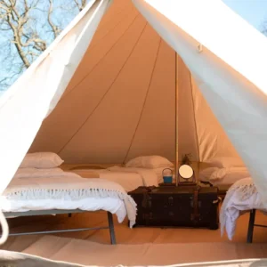 Alice - Cothelstone 2027