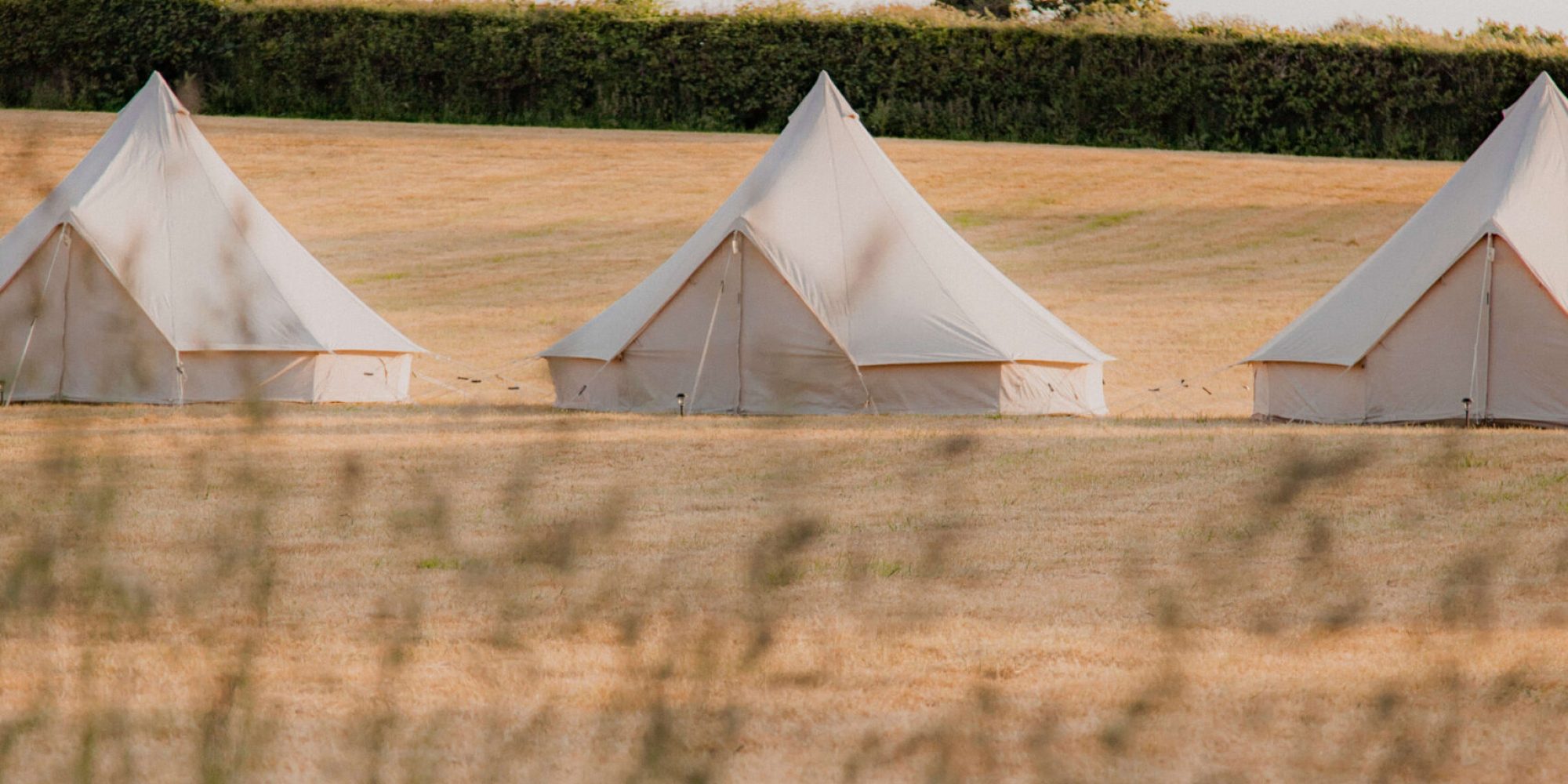 Luxury Bell Tents set up at Devon Wedding