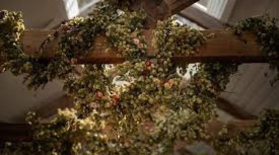 Flowers for Good Floristry